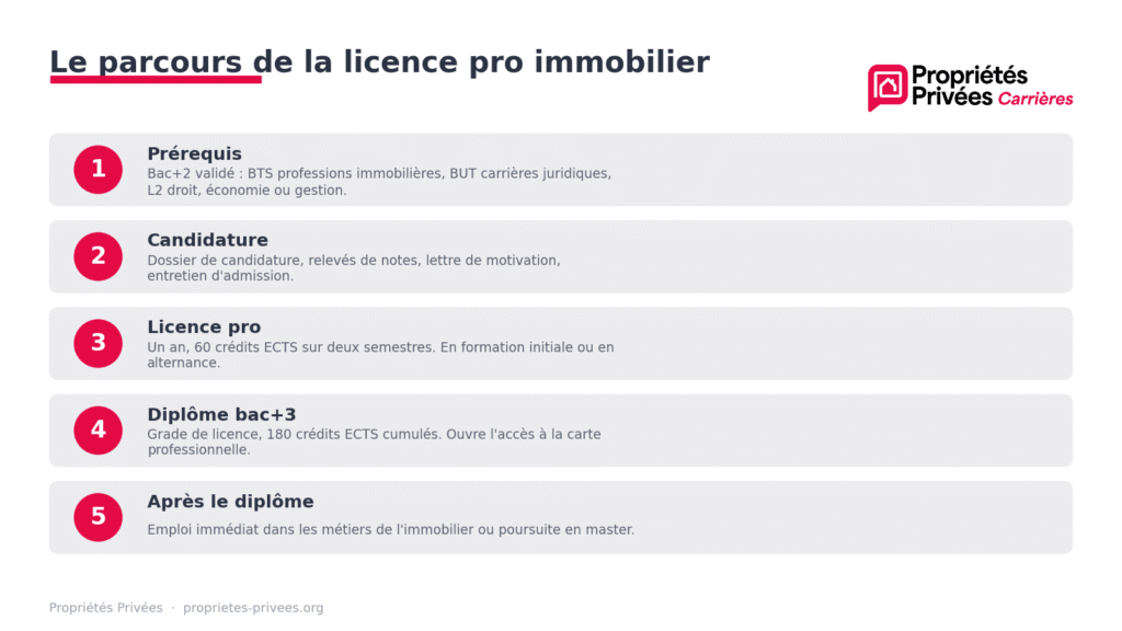 Le parcours de licence pro immobilier en 5 étapes